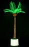 Светодиодная пальма P1-210x120