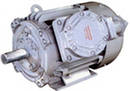 Электродвигатель ВА225М2
