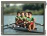 4,96-дюймовый ЖК-дисплей LQ050Q5DR01 с разрешением 320×240 пикселей