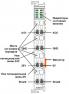 Двухканальный модуль аналогового вывода AIM730 (ток)