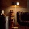 0308-12 Foglia Argento Lampadaire Silver L - CHINA Penta