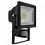 DEC/GL20W-SE Projecteur exterieur LED avec capteur L - COB Lumihome
