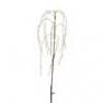860-15 Arbre LED Exterieur S - WEEPING WILLOW Xmas Living Glass