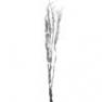 584-12 Branches LED Argent - WILLOW Xmas Living Glass