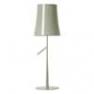 221001 25 Lampe Gris - BIRDIE Foscarini