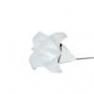 LILIUM Blanc/blanc Lampe Blanc/blanc - LILIUM Nathalie Be