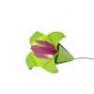 LILIUM Anis/fuschia Lampe Anis/fuschia - LILIUM Nathalie Be
