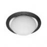 93851/76 Plafonnier/Applique S Noir - MAGNOLIA Brilliant