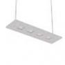 100-20C70.20PLATINIUM/DE + 100-00268 Suspension Platinium Neutre 70cm - LARIS Nowleds