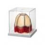 F9912000 Lampe a poser - MINITECA RENAISSANCE CUPOLA FLOS