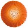 PLMUSE60ARXXE27 Axo Light MUSE 60 оранжевый
