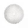 Axo Light MUSE 120 палочки PLMUS120STXXE27