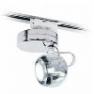 Beluga Colour Прозрачный, подвесной светильник Fabbian D57 J11 00