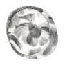 Foscarini 1720052A