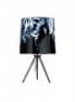 Светильник настольный Foscarini GRAF TAVOLO NATURAL LI0311 02 E