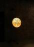 Светильник напольный Catellani&Smith Stchu-Moon 03 D60 oro