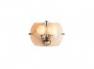 Светильник настенный Move Light Bella Donna AP (BDW1IN-I) iride