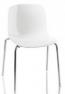Troy glossy white 1735/transparent clear 2540 (SD 383 B/T.N)