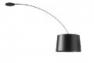 Светильник потолочный Foscarini TWIGGY SOFFITTO NERO 159008 20