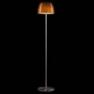 Светильник напольный Foscarini LUMIERE 05 LETTURA AMBRA LUCIDO 026014 52