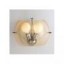 Светильник настенный Move Light Bella Donna AP (BDW1IN-C) clear