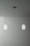 Светильник потолочный Evi Style Egg S02 04 BL