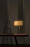 Светильник настольный Foscarini ESA PICCOLA TAVOLO AVORIO LUCIDO 0750012 51