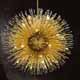 Miniluce Globus/60 Swarovski