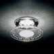 Swarovski 8992 NR 020 001