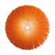 Axo Light PL MUSE 80 ARANCIO