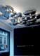 Потолочный светильник Artemide Skydro 1232010A