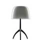 Настольные лампы Foscarini LUMIERE 05 Grigio 026011 25