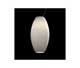 Подвесной светильник Foscarini NEW BUDS Grigio 1780071 25