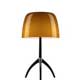 Настольные лампы Foscarini LUMIERE 05 Ambra 026011 52