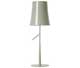 Настольные лампы Foscarini BIRDIE Grigio 221001 25