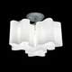 Потолочная люстра Lightstar Simple light 802 802031