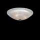 Потолочный светильник Lightstar Zucche 820830