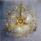 Renzo del Ventisette PL 13323/6