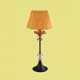 Wunderlicht NT9503-01T