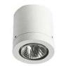 682140 Встроенные потолочные лампы направленного света PAR 16 50W, GU10, белый, Albert