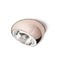 Tools F19F6141 Fabbian