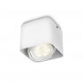 532003116 направленный светильник Philips