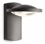 172389316 уличный светильник Philips