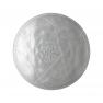 Потолочный светильник Foscarini 163005DM