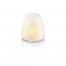 Philips 7022231PH настольная лампа