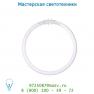50105/32/33 Lucide T5 Circline 2+2pins 32W cool white 4000K D24cm лампа
