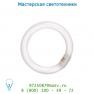 Lucide Circline lamp 22W Cool Weiss 50300/22/33 лампа