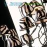 Eurolampart 7125 ZEBRA абажур