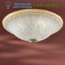 Zonca 10389 потолочный светильник