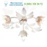 Eurolampart 160/03PL потолочный светильник